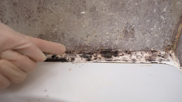 Best Air Quality Testing for Mold Spores  in North Zanesville, OH